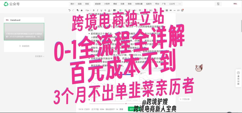 跨境电商独立站新手全流程讲解！从3个月不出单到单周11000R亲历者，10大步骤15大坑点一次讲清楚！（上）